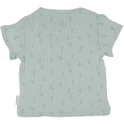 Sterntaler Set Shirt+short Palmboom Medium Groen 10 Sterntaler Set Shirt+short Palmboom Medium Groen -Sterntaler sterntaler set shirtshort palmboom medium groen a399232 3